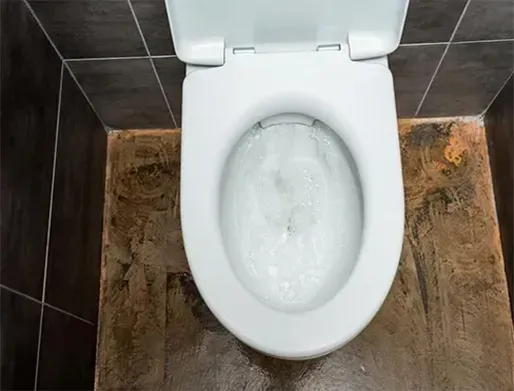 Desentupimento de Vasos Sanitários em Capivari